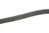 Фото Комплект поликлинових ременів (з роликами) SEAT IBIZA IV, IBIZA IV SC, IBIZA IV ST, IBIZA V, MII SKODA CITIGO, FABIA III, FABIA IV, KAMIQ, KODIAQ I, OCTAVIA III, RAPID, SCALA, YETI 1.0-1.6 08.11 INA (529 0208 10) зображення 3