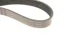 Фото Комплект поликлинових ременів (з роликами) SEAT IBIZA IV, IBIZA IV SC, IBIZA IV ST, IBIZA V, MII SKODA CITIGO, FABIA III, FABIA IV, KAMIQ, KODIAQ I, OCTAVIA III, RAPID, SCALA, YETI 1.0-1.6 08.11 INA (529 0208 10) зображення 4