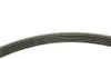 Комплект поликлинових ременів (з роликами) VOLVO C30, S40 II, S80 II, V50, V70 III CITROEN C1, C2, C2 ENTERPRISE, C3 I, C3 PLURIEL, C4, C4 I FORD B-MAX, C-MAX, C-MAX II 1.4D/1.5D/1.6D 10.01 INA (529021310) зображення 2