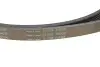 Комплект поликлинових ременів (з роликами) LAND ROVER FREELANDER I MG ZT, ZT- T ROVER 75, 75 I 2.0D 02.99-10.06 INA (529 0253 10) зображення 4