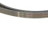 Комплект поликлинових ременів (з роликами) LAND ROVER FREELANDER I MG ZT, ZT- T ROVER 75, 75 I 2.0D 02.99-10.06 INA (529 0253 10) зображення 5