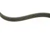 Комплект поликлинових ременів (з роликами) LAND ROVER FREELANDER I MG ZT, ZT- T ROVER 75, 75 I 2.0D 02.99-10.06 INA (529 0253 10) зображення 6