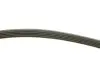 Комплект поликлинових ременів (з роликами) LAND ROVER FREELANDER I MG ZT, ZT- T ROVER 75, 75 I 2.0D 02.99-10.06 INA (529 0253 10) зображення 8