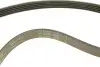 Комплект поликлинових ременів (з роликами) LAND ROVER FREELANDER I MG ZT, ZT- T ROVER 75, 75 I 2.0D 02.99-10.06 INA (529 0253 10) зображення 9