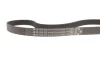 Комплект ременя генератора Citroen Berlingo/Jumpy/Peugeot Partner 1.6 HDi 08- (6PK975) INA (529 0261 23) зображення 9