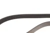 Комплект ременя генератора Citroen Berlingo/Jumpy/Peugeot Partner 1.6 HDi 08- (6PK975) INA (529 0261 23) зображення 10