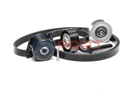 Комплект поліклинових ременів INA 529031410 Купити в Україні