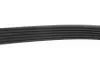 Фото Комплект поликлинових ременів (з роликами) CHEVROLET CRUZE, ORLANDO OPEL ASTRA J, ASTRA J GTC, INSIGNIA A 1.6/1.8/1.8LPG 07.08 INA (529032710) зображення 6
