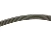 Комплект поликлинових ременів (з роликами) FORD B-MAX, C-MAX II, ECOSPORT, FIESTA VI, FIESTA VII, FOCUS III, GRAND C-MAX, MONDEO V, TOURNEO CONNECT V408 NADWOZIE WIELKO 1.0/1.1 02.12 INA (529 0338 10) зображення 2