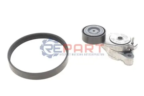 Комплект поликлинового ремня (Выр-во) INA 529034010 Купить в Украине