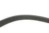 Фото Комплект поликлинових ременів (з роликами) CHEVROLET MALIBU OPEL ASTRA J, ASTRA J GTC, INSIGNIA A, INSIGNIA A COUNTRY, ZAFIRA C 2.0D 07.08 INA (529034810) зображення 2