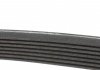 Комплект ремня генератора Iveco Daily 2.3 JTD 02-, (4EPK903 + 7PK1325) - 529 0386 10 (504066407) INA 529038610 (фото 8)
