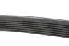 Комплект ремня генератора Iveco Daily 2.3 JTD 02-, (4EPK903 + 7PK1325) INA (529038610) изображение 9