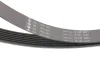 Комплект ремня генератора Iveco Daily 2.3 JTD 02-, (4EPK903 + 7PK1325) INA (529038610) изображение 10