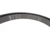 ZESTAW PASKA KLINOWEGO WIELOROWKOWEGO FORD INA (529039710) изображение 2