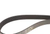 Комплект ремня генератора Skoda Octavia/VW Golf V/VI/Jetta III/IV/Passat B6/B7 1.4 TSI 05-17 INA (529 0505 20) изображение 13