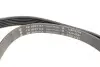 Фото Комплект поліклинового ременя (із натягувачем) AUDI A3, TT SEAT ALHAMBRA, ALTEA, ALTEA XL, LEON, TOLEDO III SKODA OCTAVIA II, SUPERB II, YETI VW BEETLE, CC B7, EOS, GOLF V 1.8/2.0 09.04-07.18 INA (529051410) зображення 2