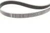 Комплект ременя генератора Fiat Panda/Punto 0.9 12- (5PK1166) INA (529 0536 10) зображення 8