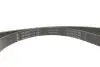 Фото Комплект ременя генератора Ford Fiesta/Focus 1.0 EcoBoost 19- (6PK1179) INA (529 0569 10) зображення 6