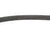 Комплект ременя генератора Fiat Doblo 1.9D 01- (6PK1815) INA (529 0593 10) зображення 9
