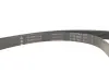 Комплект ременя генератора Fiat Doblo 1.9D 01- (6PK1815) INA (529 0593 10) зображення 10