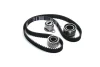 Комплект ГРМ (ремінь + ролик) VOLVO S40 I, V40 RENAULT ESPACE III, LAGUNA I, MEGANE I, MEGANE I CLASSIC, MEGANE I COACH, MEGANE SCÉNIC, SCENIC I 1.9D 03.97-08.03 INA (530003810) зображення 13
