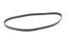 Комплект ГРМ (ремінь + ролик + водяний насос) CHEVROLET ASTRA, EPICA, EVANDA, LACETTI, NUBIRA, REZZO, ZAFIRA DAEWOO EVANDA, LEGANZA, NUBIRA, PRINCE, TACUMA / REZZO 1.8/1.8LPG/2.0 08.92 INA (530004930) зображення 5