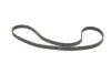 Фото Комплект ГРМ (ремінь + ролик) CHEVROLET CORSA, TIGRA OPEL ASTRA F, ASTRA F CLASSIC, ASTRA G, CORSA B, KADETT E, TIGRA, VECTRA B 1.4/1.6/1.8 09.84-01.05 INA (530007810) зображення 2