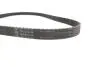 Фото Комплект ГРМ (ремінь + ролик) CHEVROLET ASTRA, ZAFIRA OPEL ASTRA F, CALIBRA A, CORSA B, FRONTERA A SPORT, KADETT D, KADETT E, OMEGA A, OMEGA B, TIGRA, VECTRA A, VECTRA B 1.4-2.0 02.83-12.11 INA (530014710) зображення 7