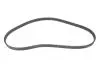 Фото Комплект ГРМ (ремінь + ролик) CHEVROLET ASTRA, ZAFIRA OPEL ASTRA F, CALIBRA A, CORSA B, FRONTERA A SPORT, KADETT D, KADETT E, OMEGA A, OMEGA B, TIGRA, VECTRA A, VECTRA B 1.4-2.0 02.83-12.11 INA (530014710) зображення 8