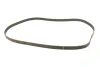 Фото Комплект ГРМ (ремінь + ролик) SUBARU FORESTER, IMPREZA, LEGACY V 2.0/2.0LPG/2.5 03.94-12.11 INA (530035310) зображення 10