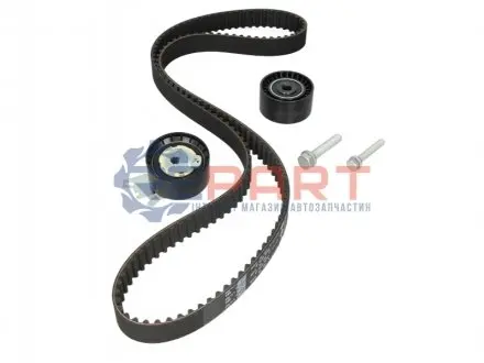 Комплект ГРМ Citroen Jumpy/Peugeot Expert 2.0 16V 07- (153x25) INA 530047110 Купити в Україні