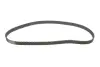 Фото Комплект ГРМ (ремінь + ролик + водяний насос) CITROEN C3 II, JUMPY I FIAT SCUDO PEUGEOT EXPERT SUZUKI GRAND VITARA I 1.4D/2.0D 05.99-09.16 INA (530047430) зображення 14