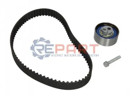 Комплект ГРМ Audi Q7/VW Touareg 3.0 V6 TDI 04-10, CASB/BUN/BUG/CATA/BKS INA 530048110 Купити в Україні