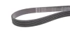 Комплект ГРМ (ремінь + ролик + водяний насос) (EN) (with multi-V-belt kit) AUDI A1, A3, Q3, TT SEAT ALHAMBRA, ALTEA, ALTEA XL, IBIZA IV, IBIZA IV SC, IBIZA IV ST, LEON 1.2D/1.6D/2.0D 05.03-12.22 INA (530 0550 50) зображення 21