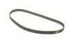 Фото Комплект ГРМ (ремінь + ролик) FORD ECONOVAN MAZDA E SUZUKI GRAND VITARA I, VITARA 2.0D/2.2D 03.86-07.04 INA (530059910) зображення 2