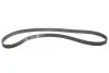 Фото Комплект ГРМ (ремінь + ролик) OPEL ASTRA J, ASTRA J GTC, CASCADA, INSIGNIA A, INSIGNIA A COUNTRY, ZAFIRA C SAAB 9-5 2.0D 07.08-03.17 INA (530061910) зображення 5