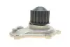 Комплект ГРМ + помпа Jeep Wrangler/Cherokee 2.4 01- INA (530064130) зображення 6