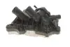 Фото Насос охолоджуючої рідини (EN) with a belt AUDI A1, A3, Q2 SEAT ARONA, ATECA, IBIZA IV, IBIZA IV SC, IBIZA IV ST, IBIZA V, LEON, LEON SC, LEON ST, TOLEDO IV SKODA FABIA III, KAMIQ 1.0-1.6 08.11 INA (530 0743 30) зображення 4