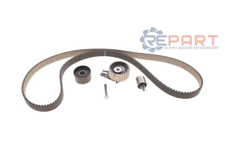 Комплект ГРМ Fiat Ducato 2.2D 21- (193x24) INA 530 0969 10