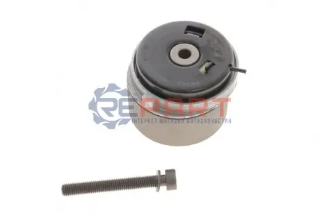 Ролик ГРМ Chevrolet Aveo 08- (натяжний) (66х29) INA 531077910 Купити в Україні