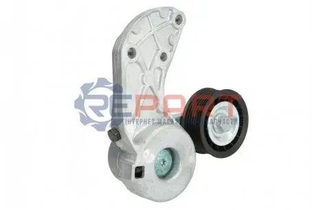 Фото Натяжник ременя генератора Audi Q7 3.6 FSI/Porsche Cayenne 3.6/VW Touareg 3.2/3.6 06- INA (534030710) зображення 1