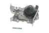 Помпа води Renault Kangoo/Megane 1.4i 96-, z=20, 52/55kw, E7J 624/626/764 538 0022 10