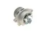 Фото Насос воды VW Caddy II/III/Golf IV/V 1.4i (27z) BCA, BUD, AUA. INA (538002610) изображение 2