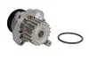 Фото Насос воды VW Caddy III 2.0TDI 07-10/Golf IV 1.9TDI 98- (19z) INA (538008910) изображение 2