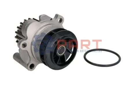 Насос воды VW Caddy III 2.0TDI 07-10/Golf IV 1.9TDI 98- (19z) INA 538008910 Купить в Украине