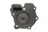 Фото Насос охолоджуючої рідини, з ущільненням FORD TRANSIT, TRANSIT TOURNEO 2.4D/2.5D 10.83-12.00 INA (538028310) зображення 4
