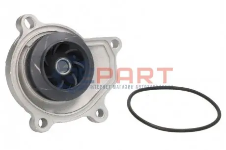 Насос охолоджуючої рідини, з ущільненням SEAT CORDOBA, IBIZA III, IBIZA IV, IBIZA IV SC, IBIZA IV ST, TOLEDO IV SKODA FABIA I, FABIA I PRAKTIK, FABIA II, RAPID, ROOMSTER 1.2/1.2LPG 07.01-06.15 INA 538033610 Купити в Україні