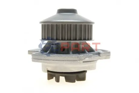 Насос охолоджуючої рідини, з ущільненням SEAT CORDOBA, IBIZA II VW GOLF II, GOLF III, JETTA II, POLO, POLO CLASSIC, POLO II, VENTO 1.0-1.6 01.85-10.02 INA 538034410 Купити в Україні