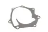 Фото Насос охолоджуючої рідини, з ущільненням FORD MAVERICK NISSAN PATHFINDER II, TERRANO I, TERRANO II 2.7D 02.89-09.07 INA (538 0515 10) зображення 2